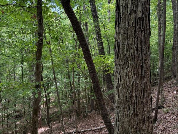 Air Control Station Road, Meridian, MS 39307