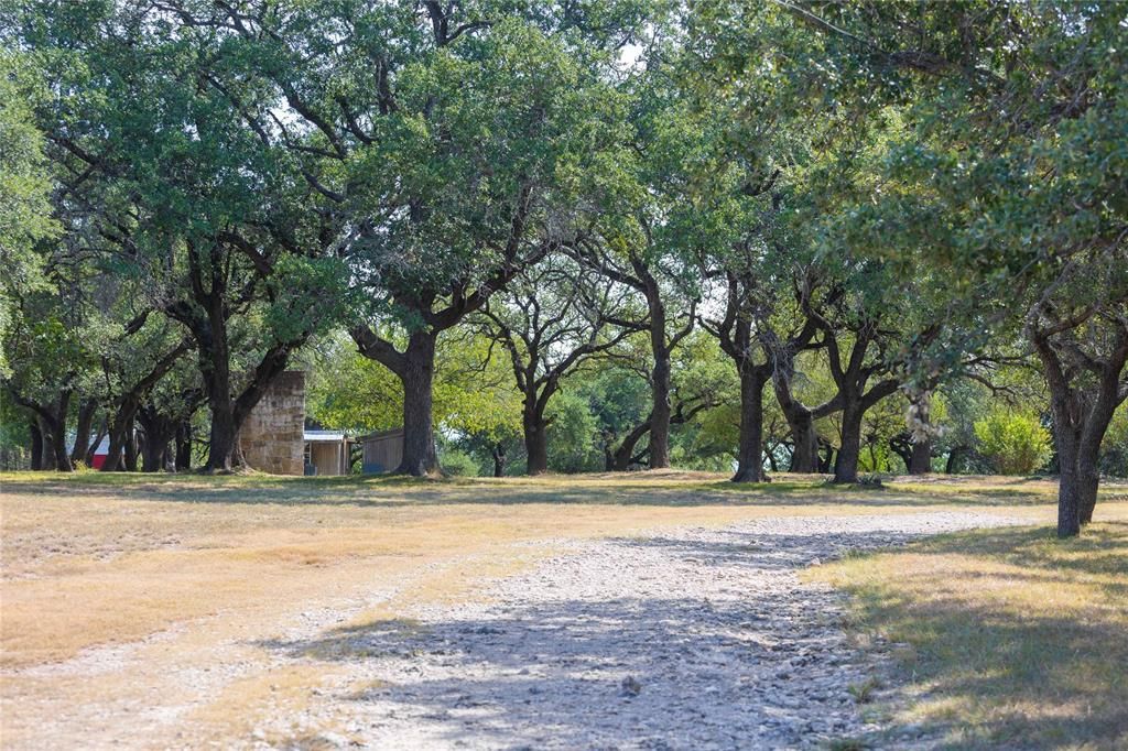 5055 Cr 259 , Zephyr, TX 76890 Main Photo