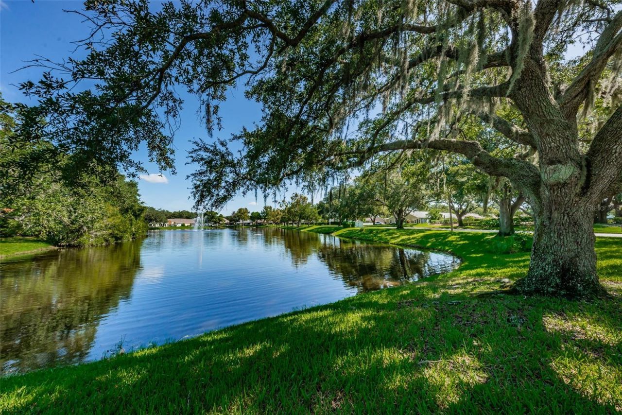 7837 Hardwick Drive , Unit 327, New Port Richey, FL 34653 Photo
