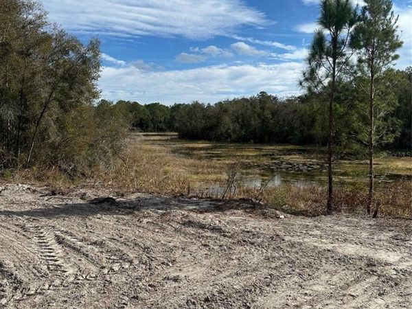 BERRYHILL DRIVE , WEBSTER, FL 33597