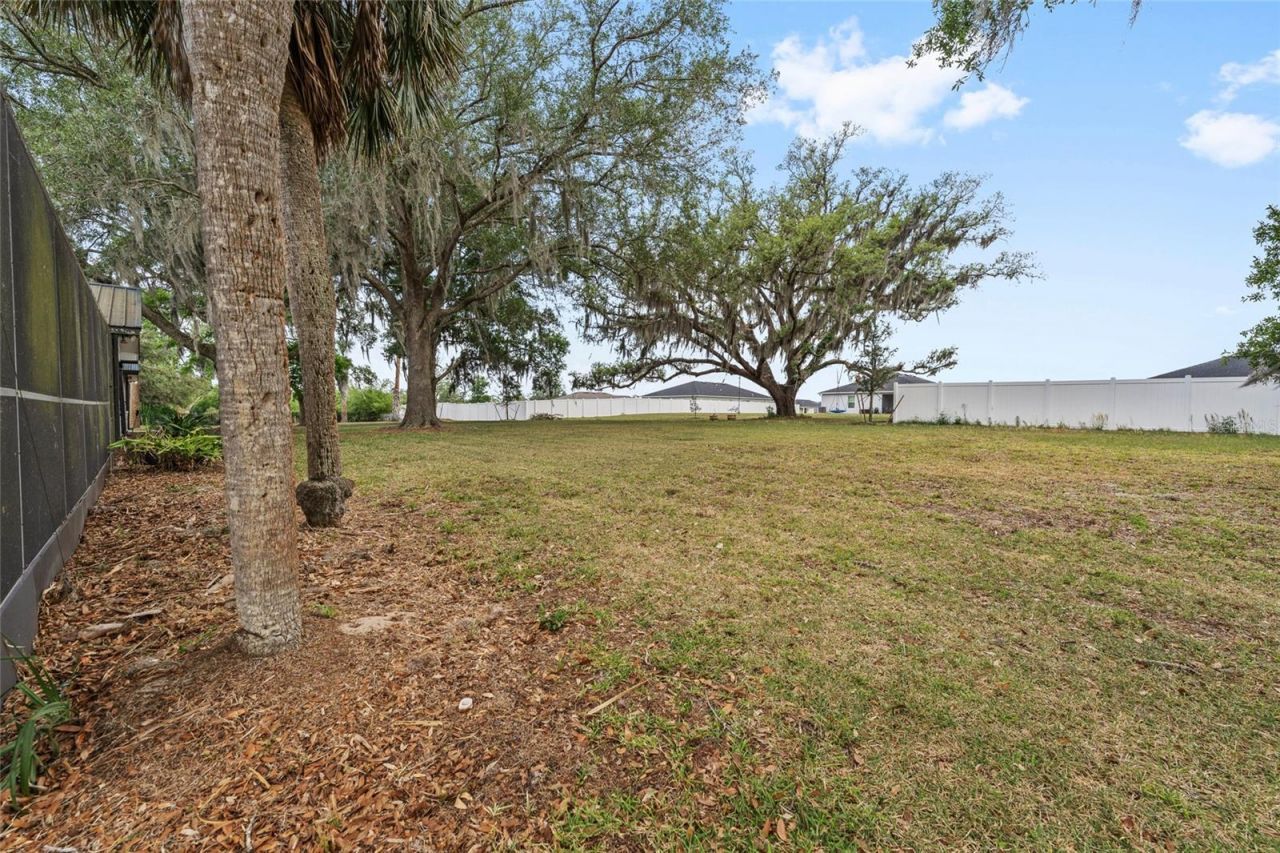 33651 Overton Drive, Leesburg, FL 34788 Photo