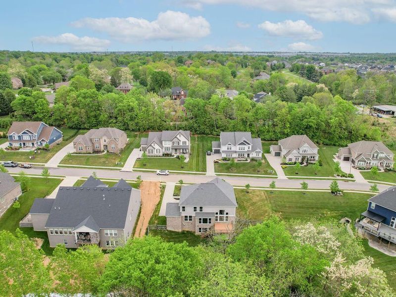 631 Coaltown Court, Union, KY 41091 Photo 49
