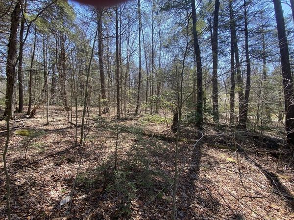 Lot 43 South Village Rd, Tolland, MA 01034