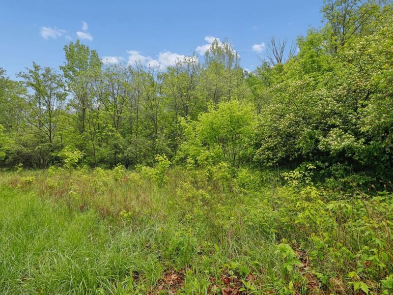 480 Tam O Shanter Court, Cincinnati, OH 45255 Photo 13