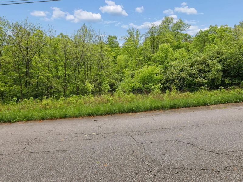 480 Tam O Shanter Court, Cincinnati, OH 45255 Photo 14