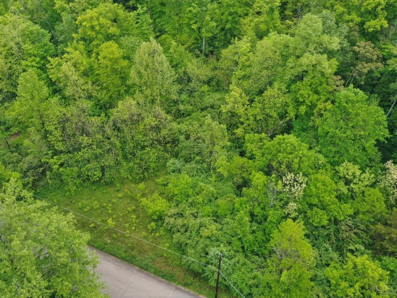 480 Tam O Shanter Court, Cincinnati, OH 45255 Photo 17