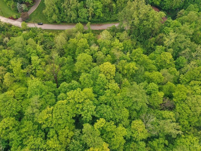 480 Tam O Shanter Court, Cincinnati, OH 45255 Photo 19