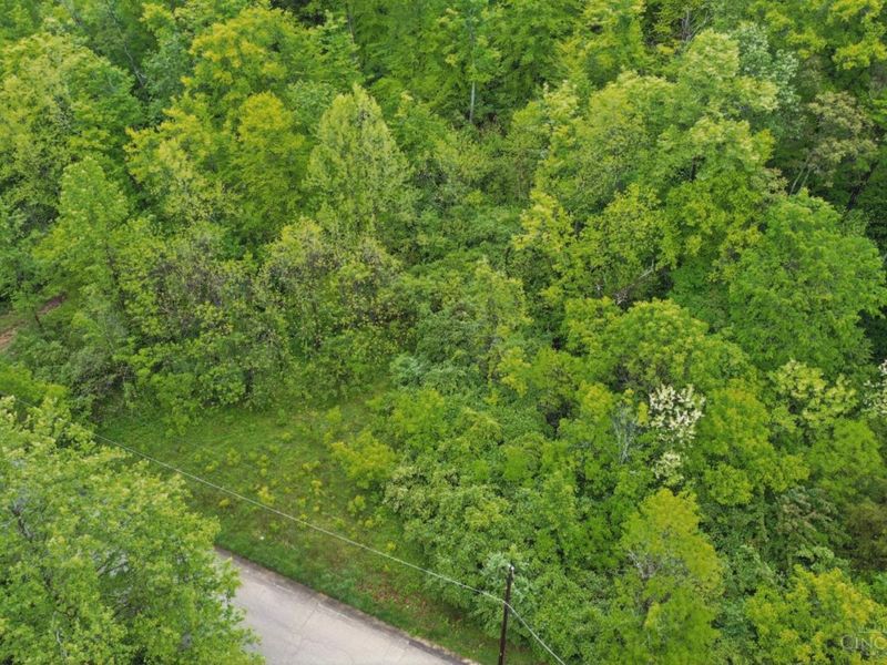 480 Tam O Shanter Court, Cincinnati, OH 45255 Photo 3