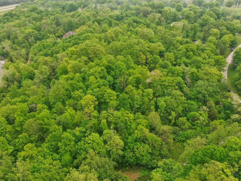 480 Tam O Shanter Court, Cincinnati, OH 45255 Photo 4