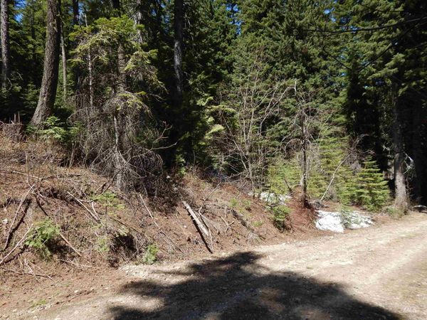 1601 Bear Trail Loop, Donnelly, ID 83615