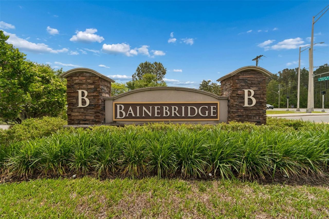 16156 Blossom Lake Drive, Jacksonville, FL 32218 Photo