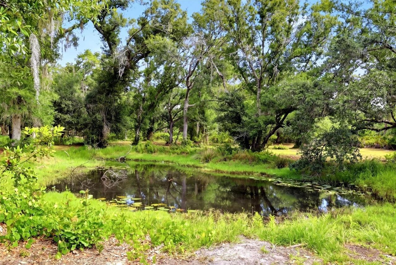 County Road 675, Myakka City, FL 34251 Photo