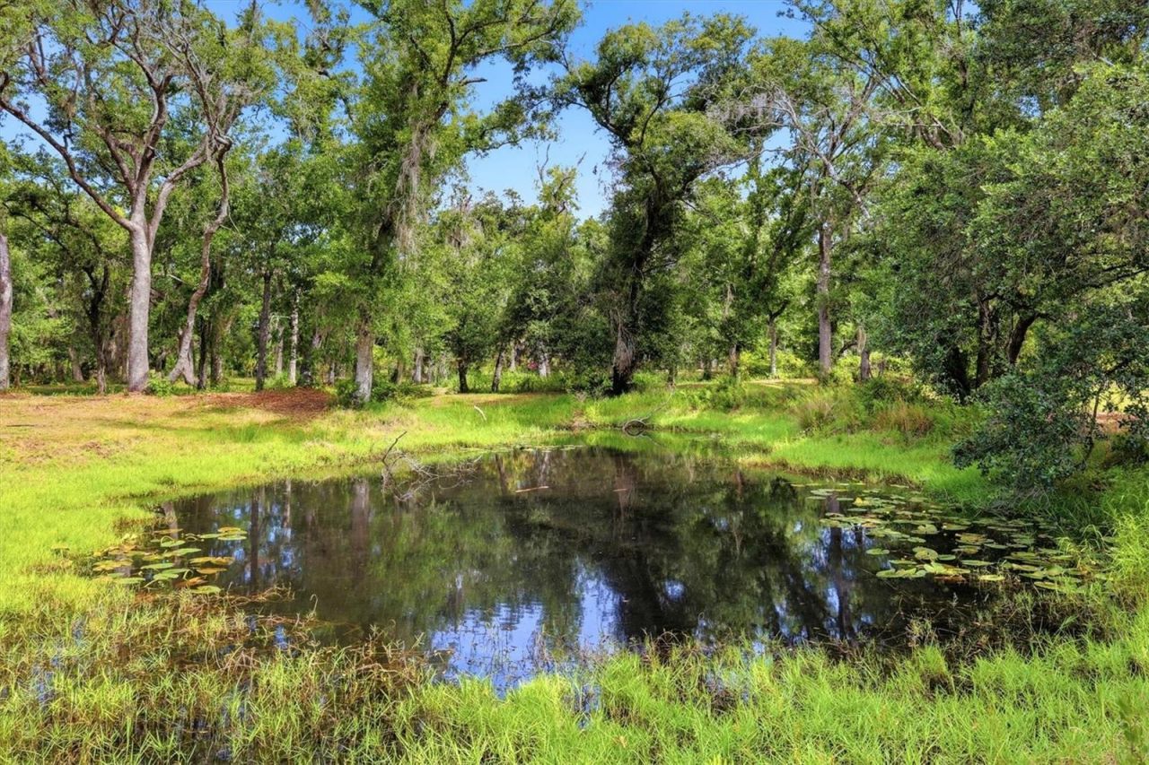 County Road 675, Myakka City, FL 34251 Photo