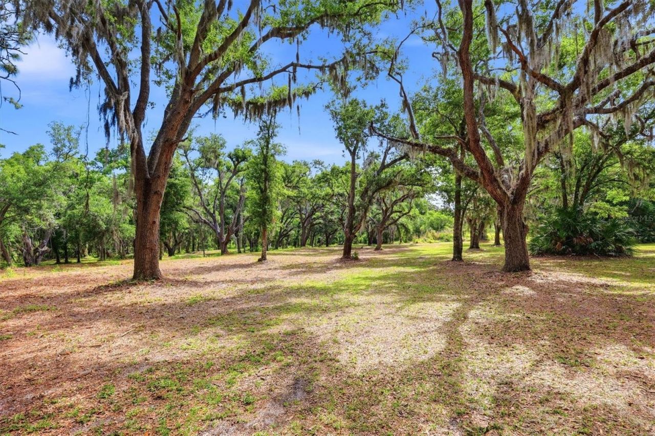 County Road 675, Myakka City, FL 34251 Photo