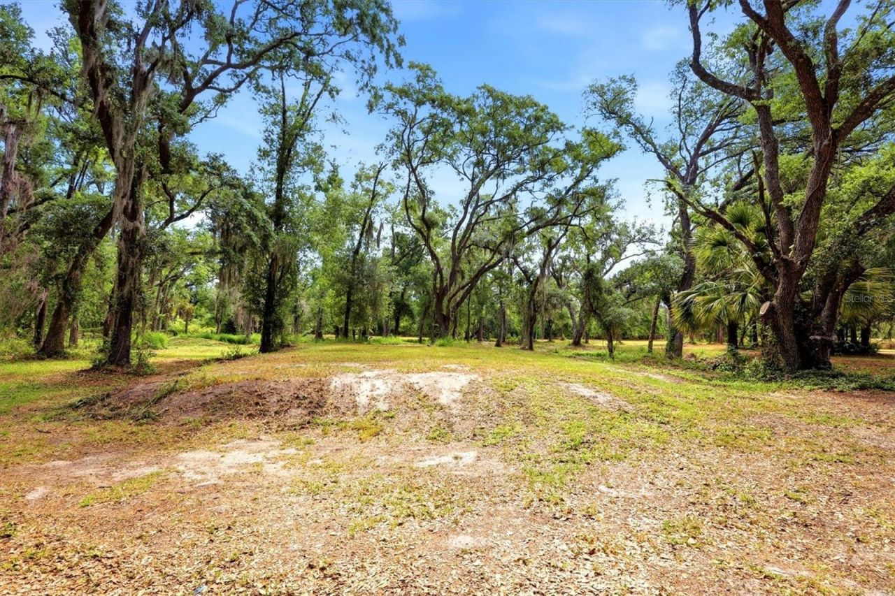 County Road 675, Myakka City, FL 34251 Photo