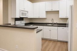4103 Perrine Street photo 4