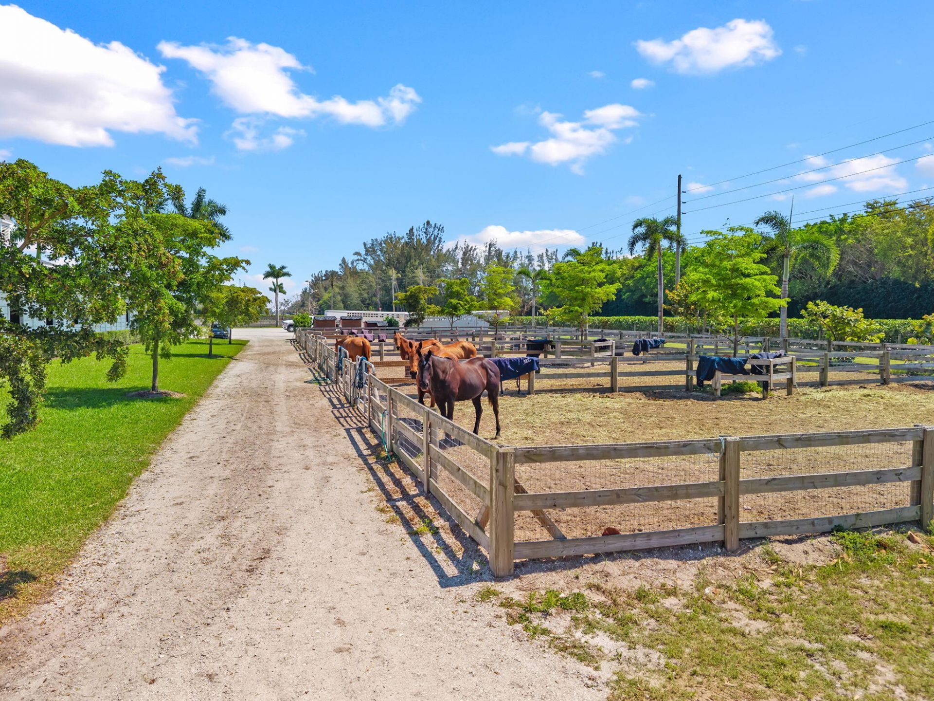 12059 S 50th St S S, Wellington, FL 33449 Photo