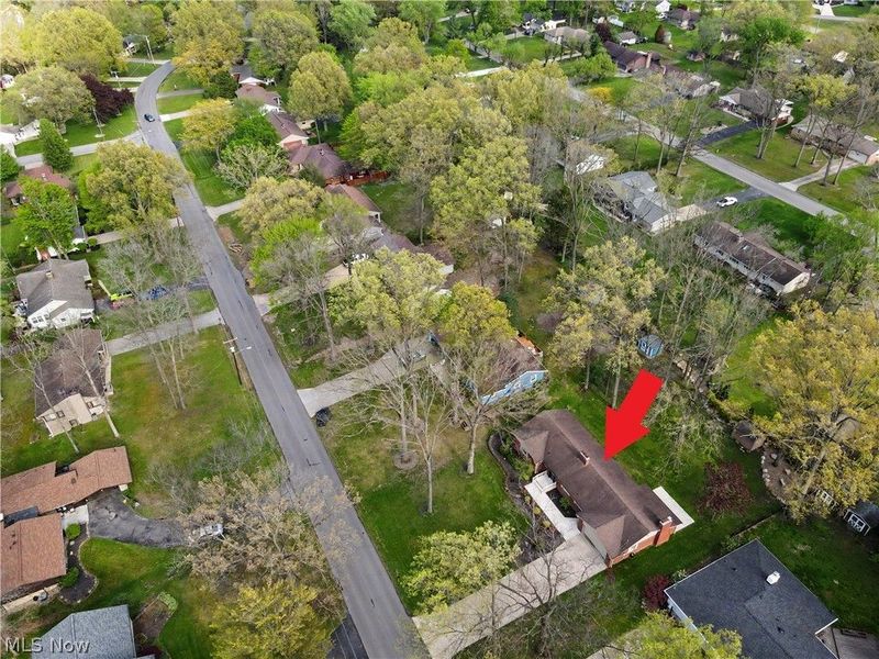 295 Sleepy Hollow Drive, Canfield, OH 44406 Photo 43