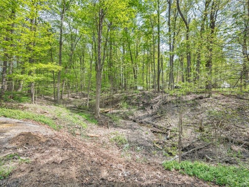 8556 Barbara Drive, Mentor, OH 44060 Photo 38