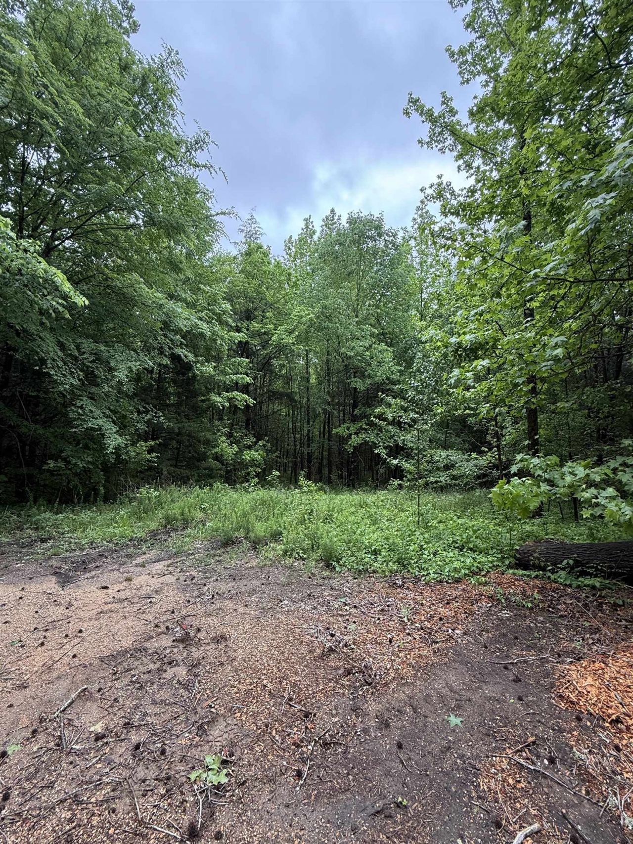 Donaldson Ln, Hornsby, TN 38044 Main Photo