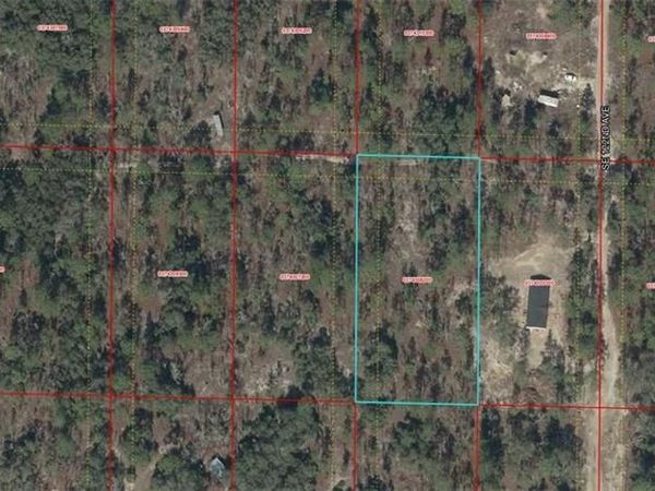 03743-082-00 SE 122nd AVE , MORRISTON, FL 32668