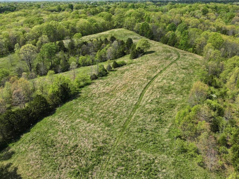 9250 Georgetown Road, Owenton, KY 40359 Photo 12