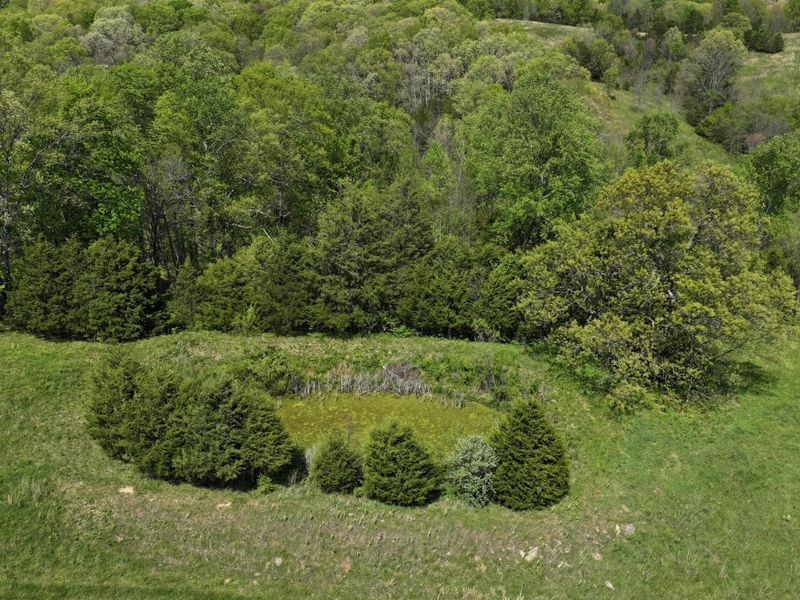 9250 Georgetown Road, Owenton, KY 40359 Photo 19