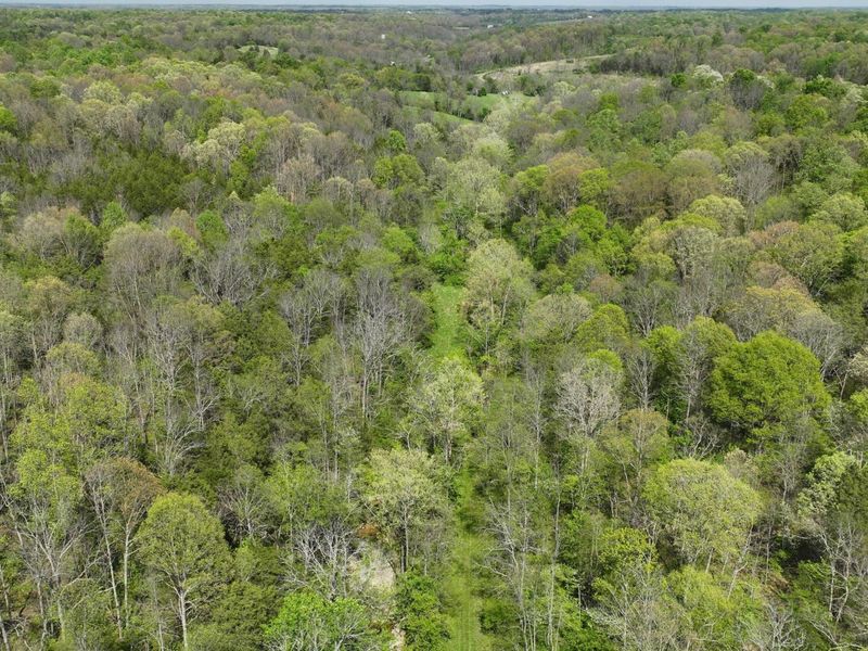 9250 Georgetown Road, Owenton, KY 40359 Photo 26