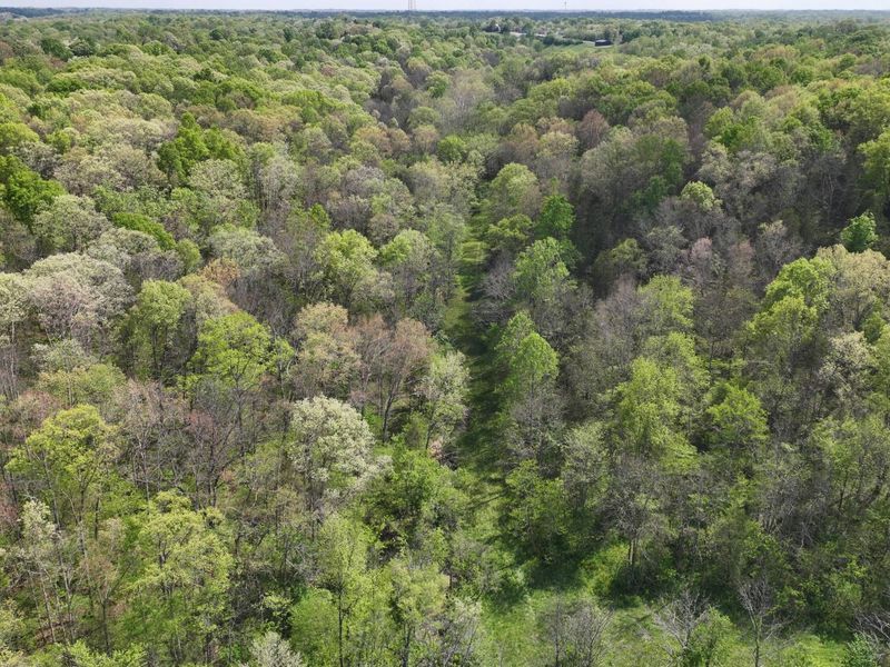 9250 Georgetown Road, Owenton, KY 40359 Photo 29