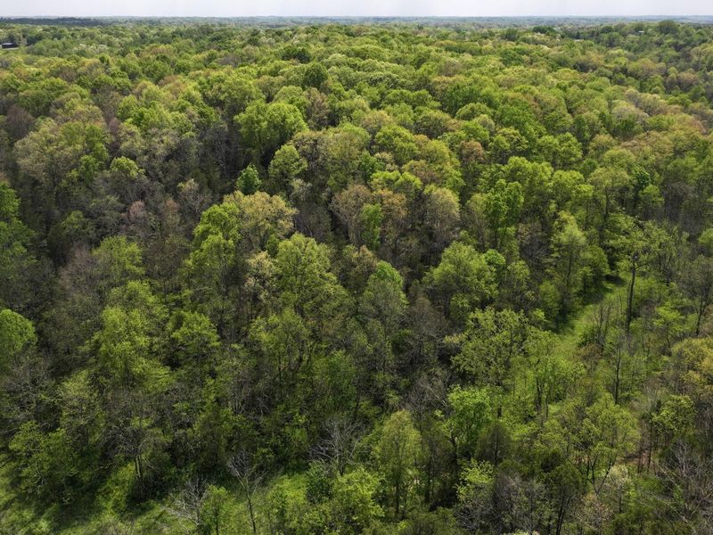 9250 Georgetown Road, Owenton, KY 40359 Photo 30