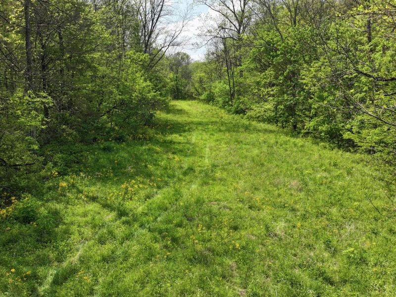 9250 Georgetown Road, Owenton, KY 40359 Photo 32