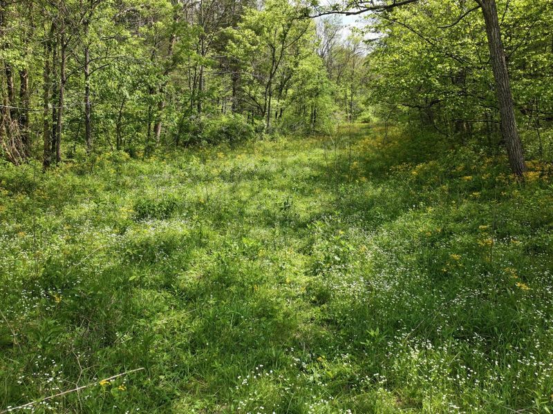 9250 Georgetown Road, Owenton, KY 40359 Photo 33