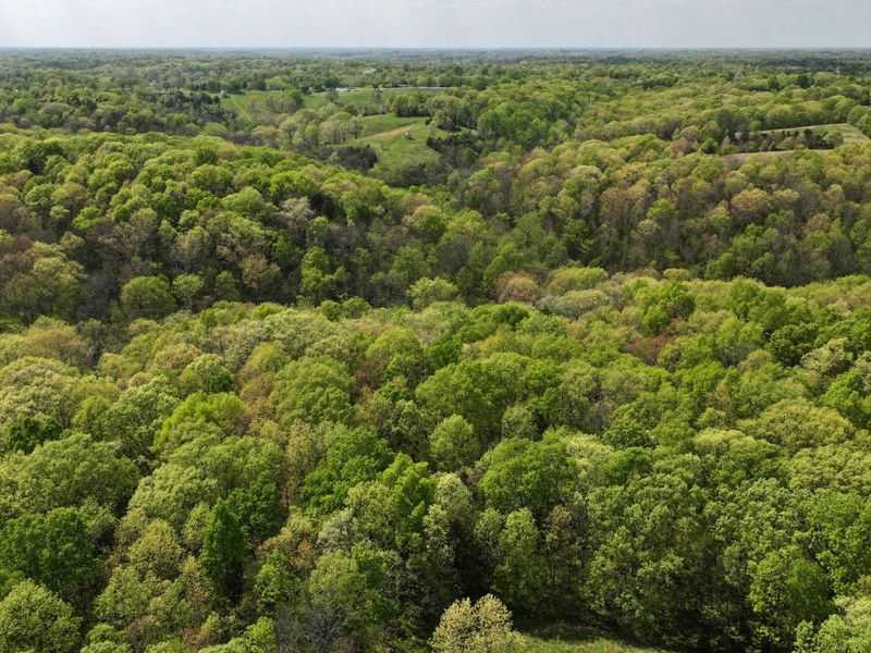 9250 Georgetown Road, Owenton, KY 40359 Photo 35