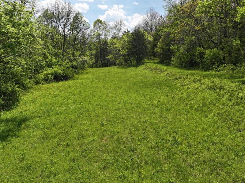 9250 Georgetown Road, Owenton, KY 40359 Photo 6