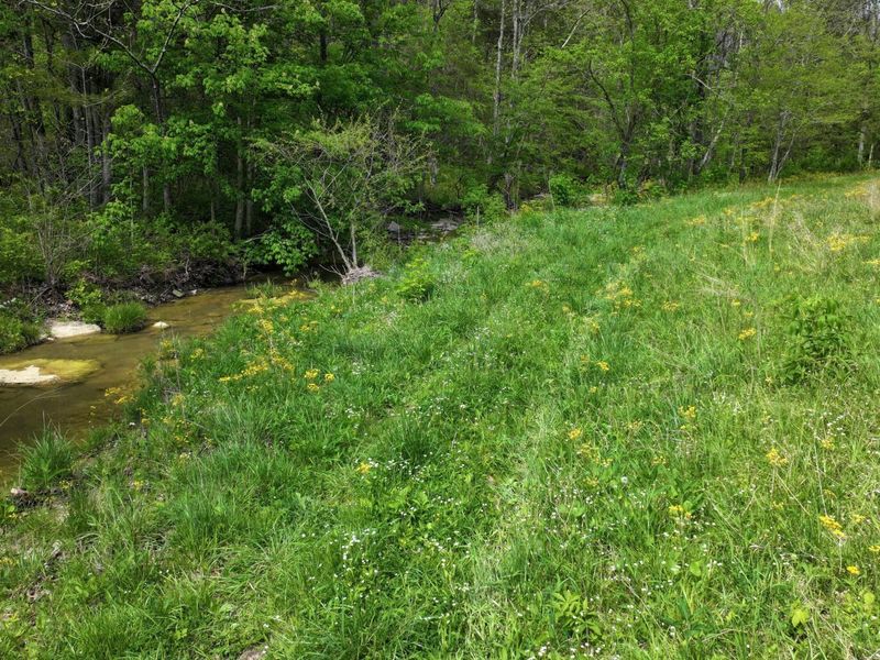 9250 Georgetown Road, Owenton, KY 40359 Photo 7