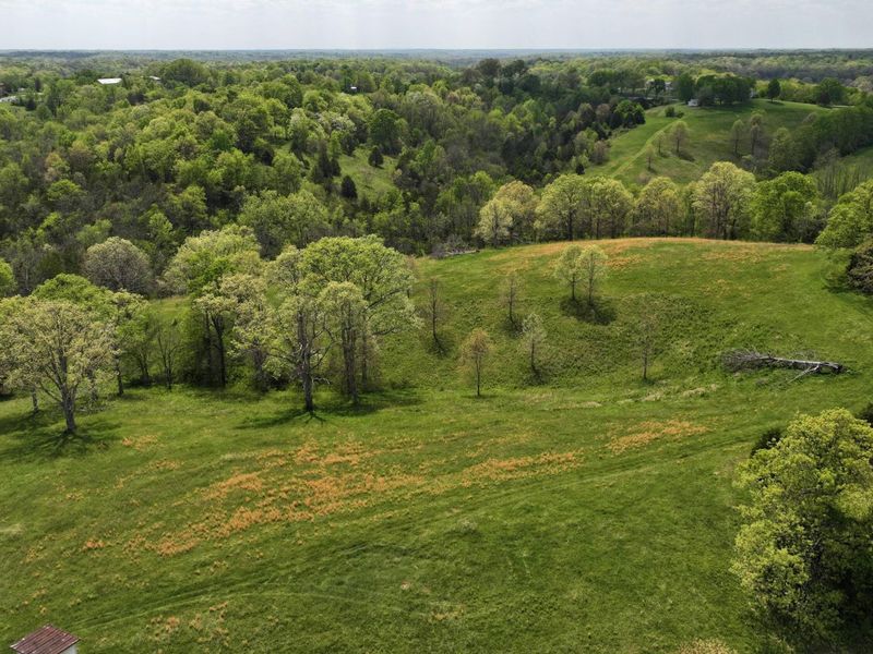 9250 Georgetown Road, Owenton, KY 40359 Photo 8