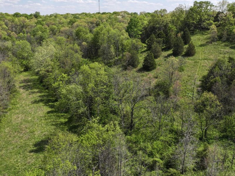 9250 Georgetown Road, Owenton, KY 40359 Photo 9