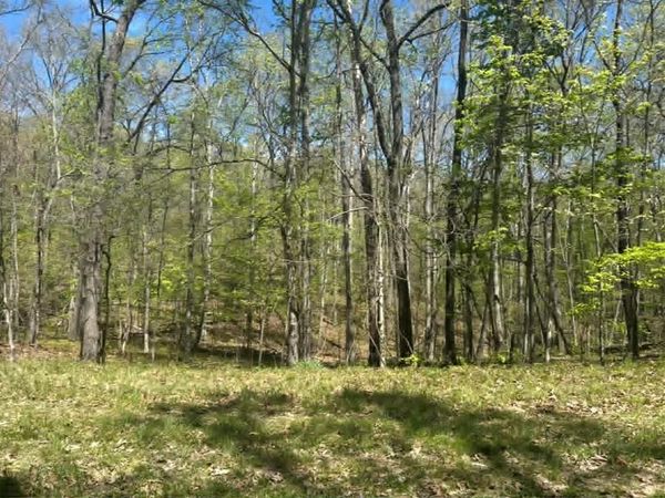 - Darwin Ln., Lot #120, Crossville, TN 38558