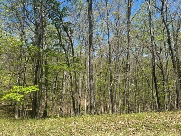 - Dublin Ln Lot #112, Crossville, TN 38558