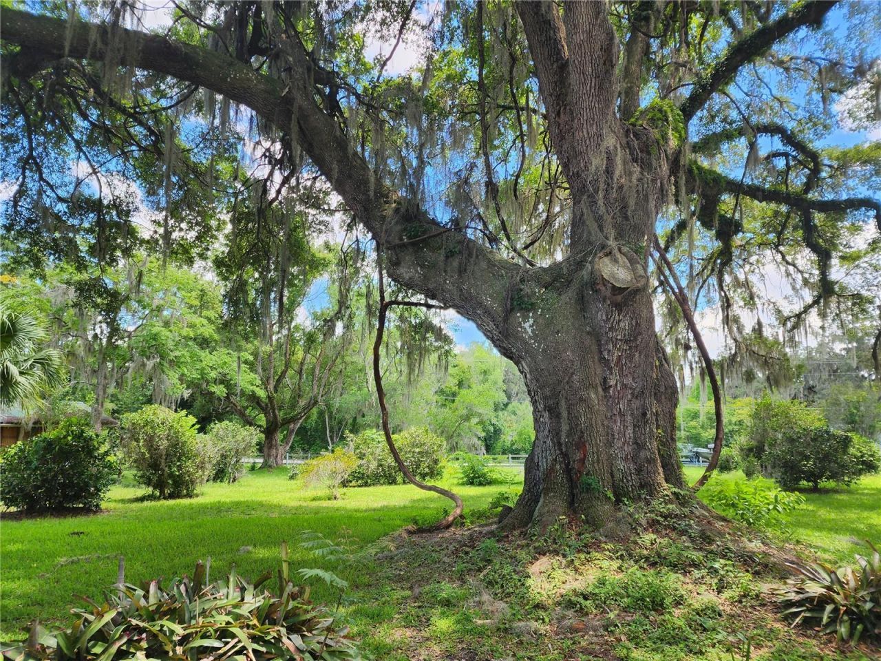1427 NE 10th Street, Ocala, FL 34470 Photo