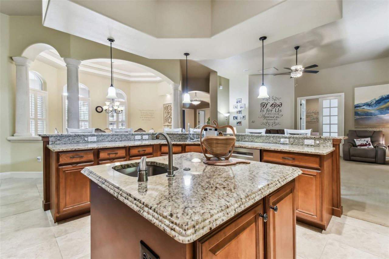 12709 Mannhurst Oak Lane, Lithia, FL 33547 Photo