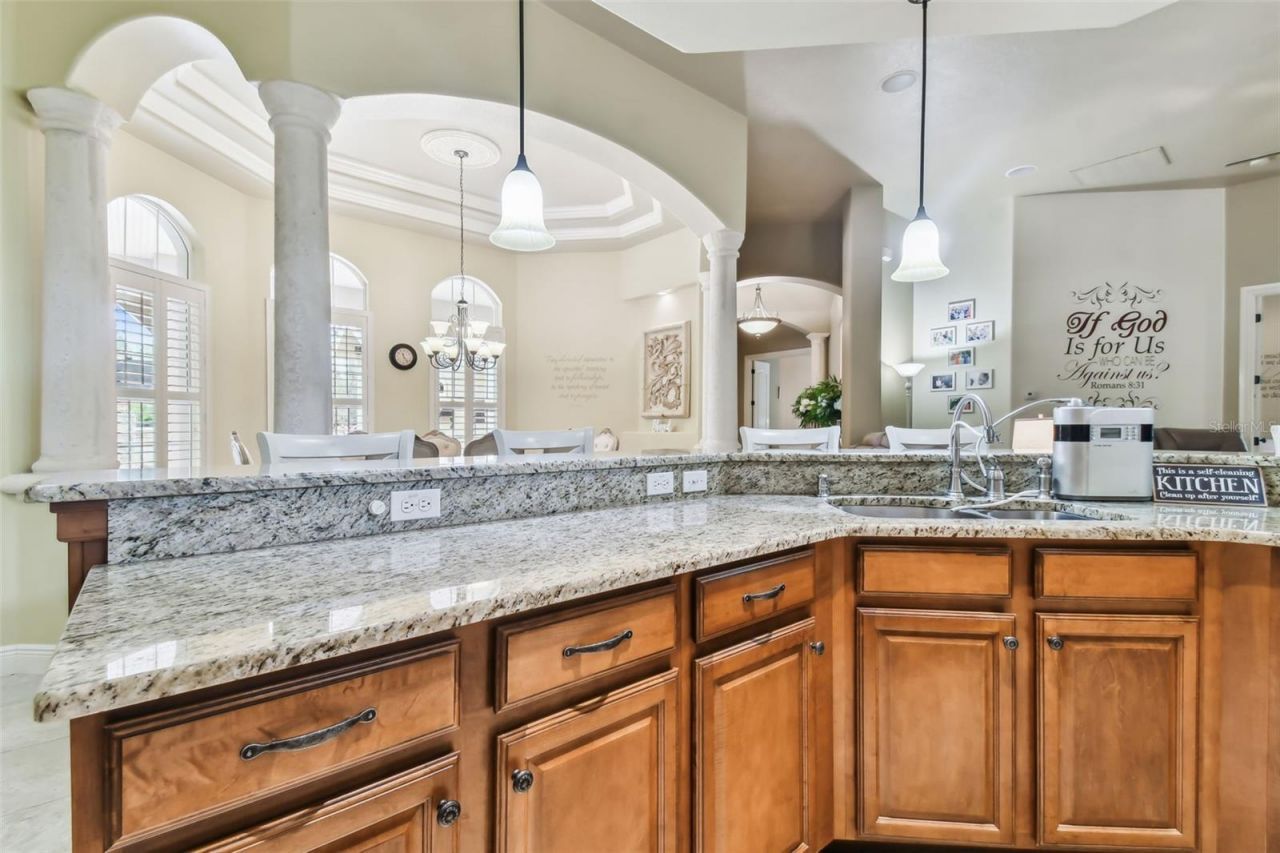12709 Mannhurst Oak Lane, Lithia, FL 33547 Photo