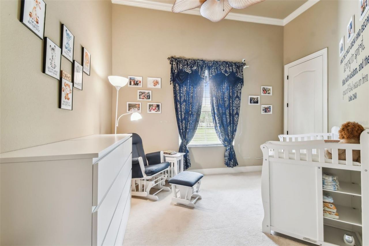 12709 Mannhurst Oak Lane, Lithia, FL 33547 Photo