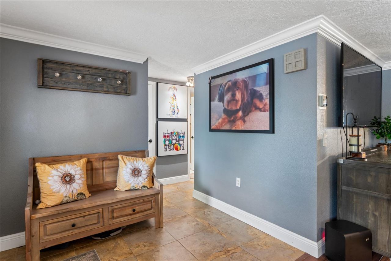 5330 Dove Drive, New Port Richey, FL 34652 Photo