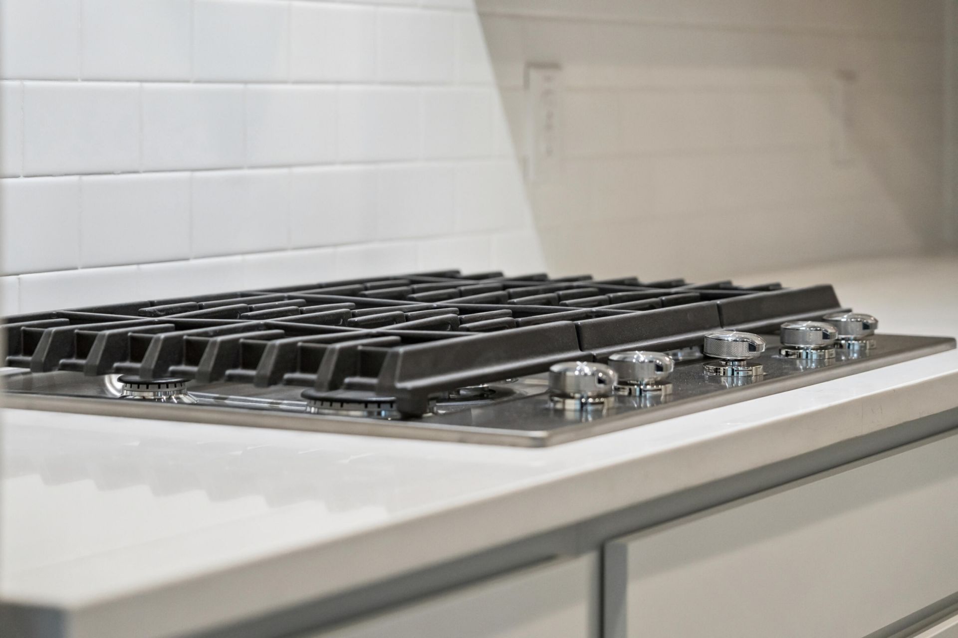 1733 Brightside Trail Photo 7