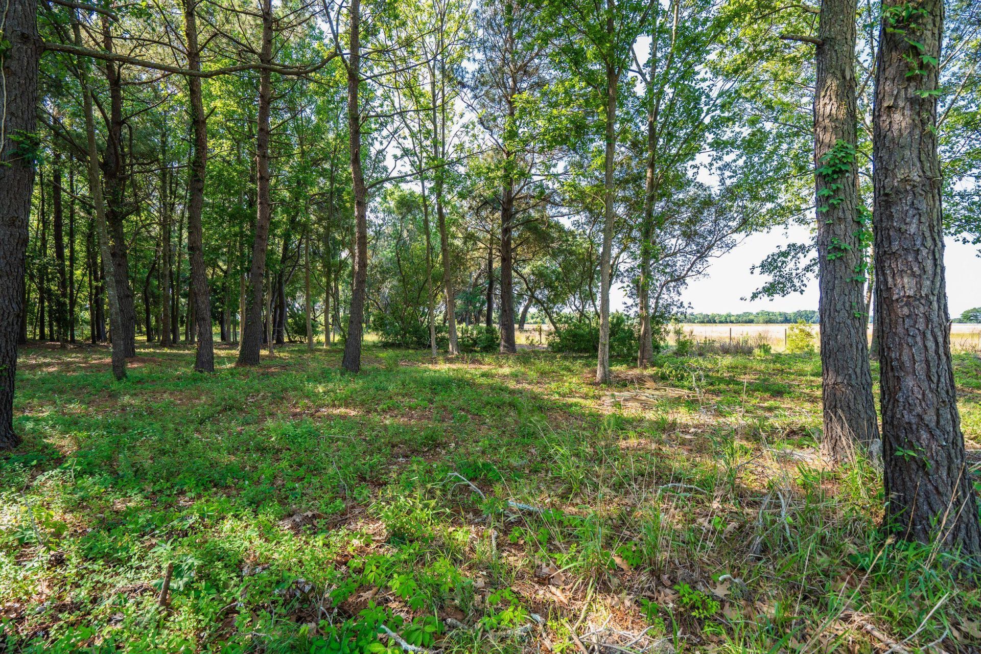 2986 Anchor Watch Drive Photo 68