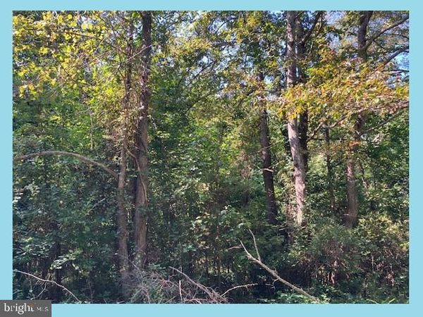 WOODBUSH DRIVE, BUSHWOOD, MD 20618