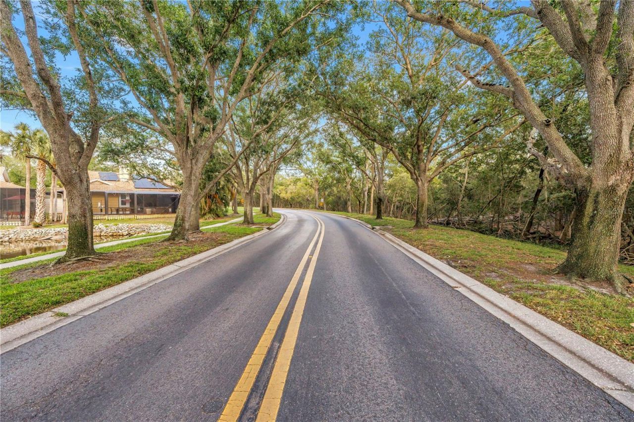 1092 Sanabel Court Ne, Saint Petersburg, FL 33702 Photo