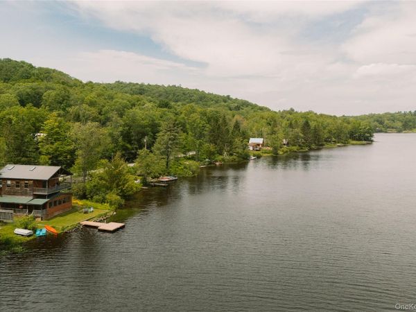 212 Trout Brook Road , Roscoe, NY 12776