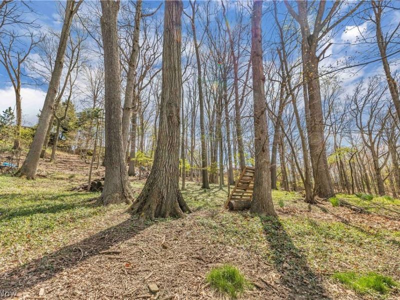 4519 W Ridgewood Drive, Parma, OH 44134 Photo 29